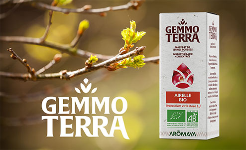 gemmoterma